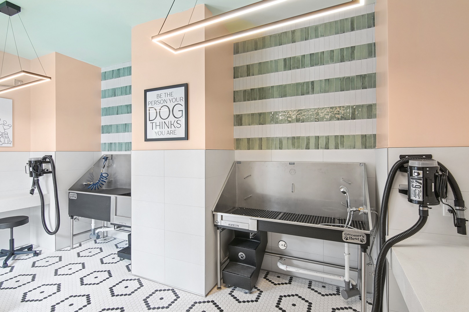 Affina_LuxuryApartments_PetWash_KendallFlorida